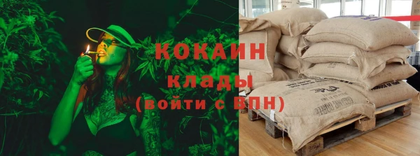 гашик Алзамай