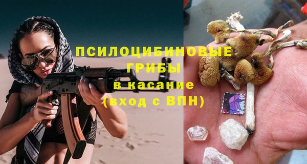гашик Алзамай