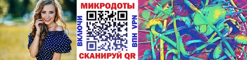 Галлюциногенные грибы Psilocybine cubensis Юрьевец